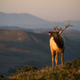 Image for article titled Meet Your Three New National Monuments